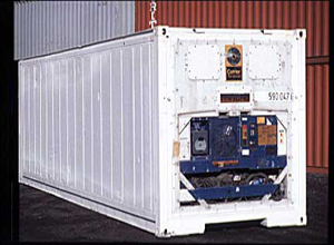 Tampa 20ft Flat Rack shipping container